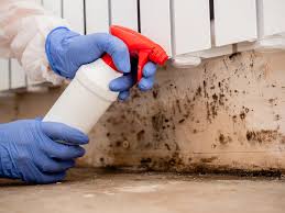 Best Airborne Mold Testing in Bedford Heights, OH